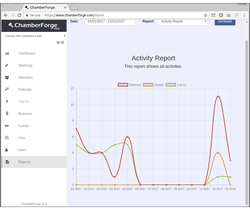 Activity report