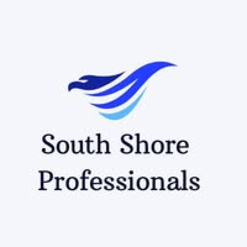 South Shore Professionals Networking Group